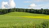 Landscapes and some buildings... : ... taken when just passing by...
