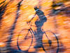 Celebration Cycling Diversity : HPV (Human Powered Vehicles). Bicycles, recumbents, velomobiles, high or low, big wheels or small, fast or compact, 1,2,3 or 4 wheels... 
There are many ways to build self-transportation, and within their intended purpose each of them can be much better than you ever imagined... try it!

Back to main page